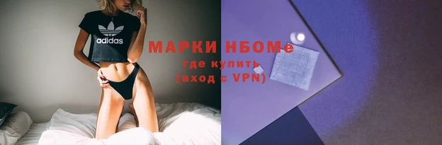 ECSTASY Алзамай