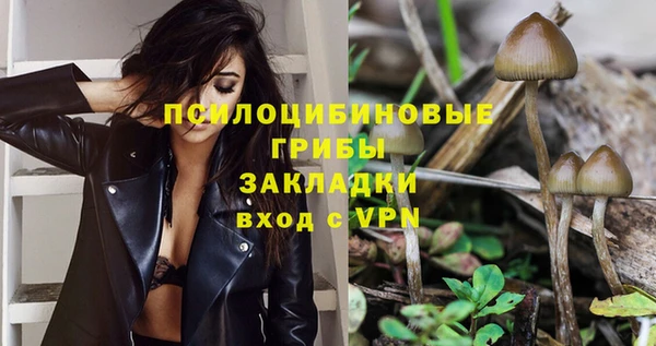 PSILOCYBIN Алексин